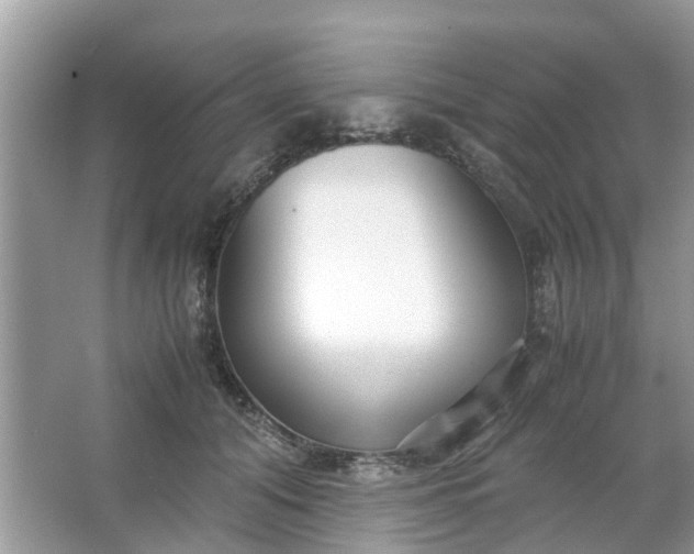 X0000067000608200604072151