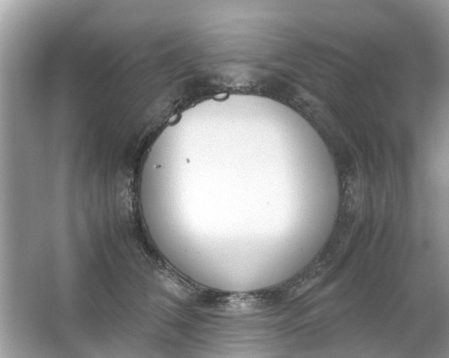 X0000067000612200604072151