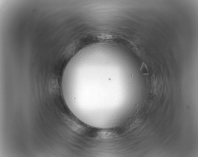 X0000067000614200604072151