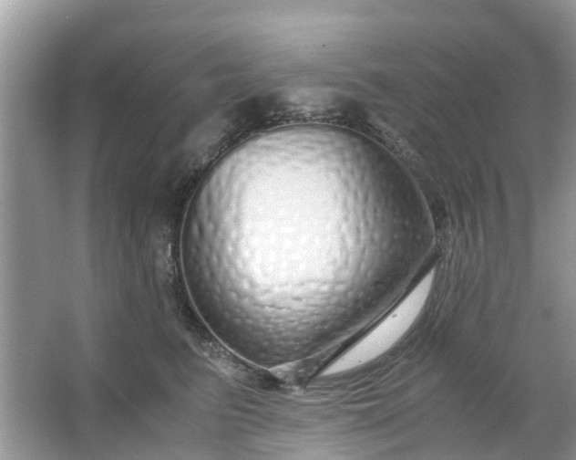 X0000067000615200604072151