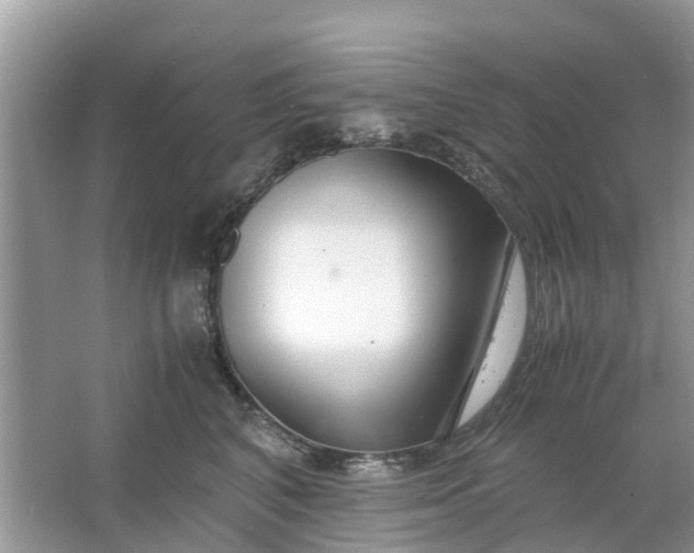 X0000067000616200604072151