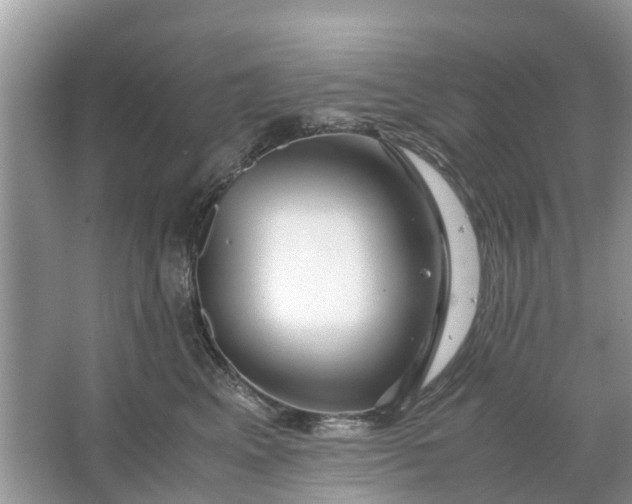 X0000067000617200604072151