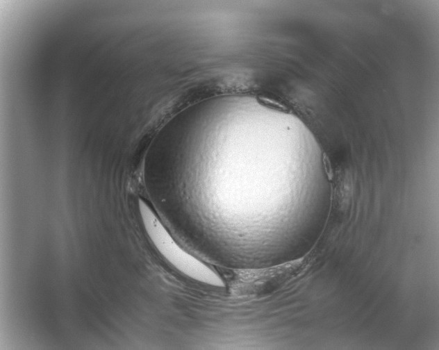 X0000067000619200604072150