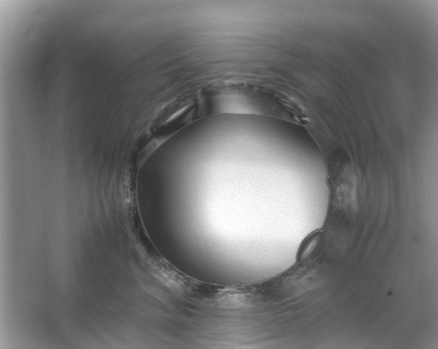 X0000067000620200604072150