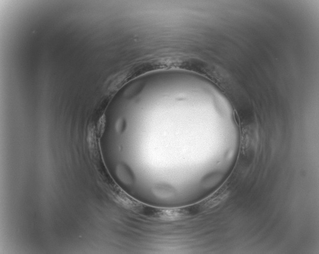 X0000067000623200604072150