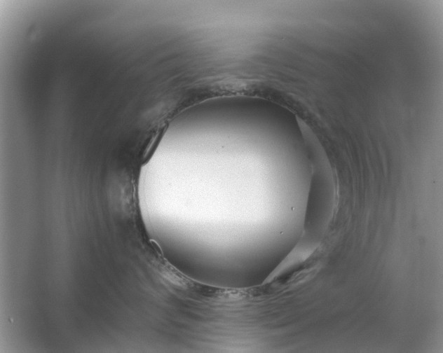 X0000067000624200604072150