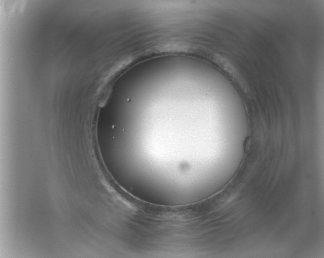 X0000067000625200604072150