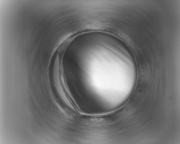 X0000067000626200604072150