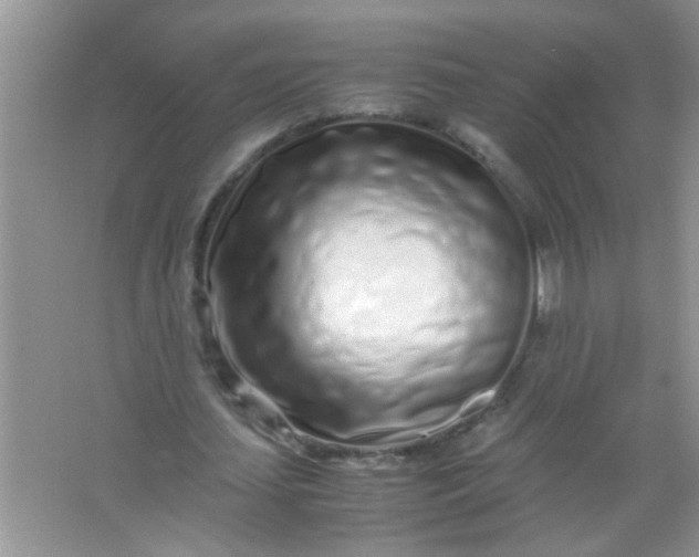 X0000067000627200604072150