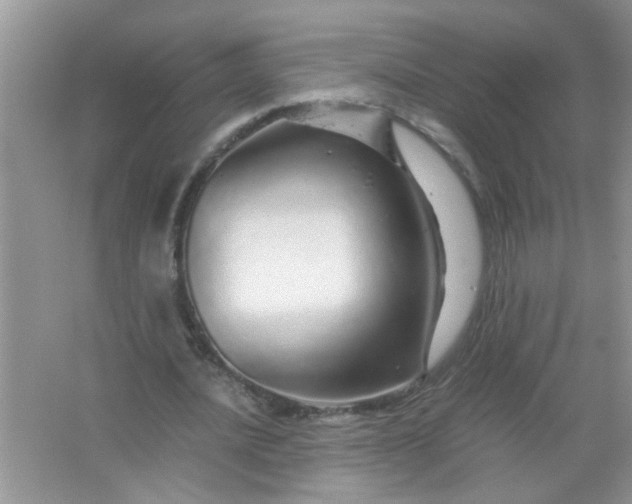 X0000067000628200604072150