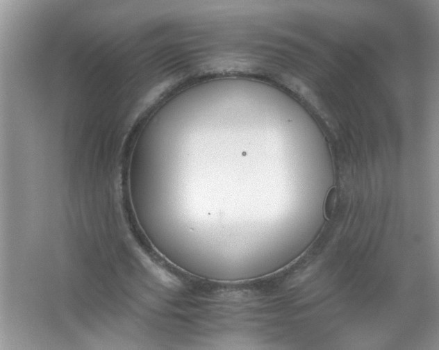 X0000067000629200604072150