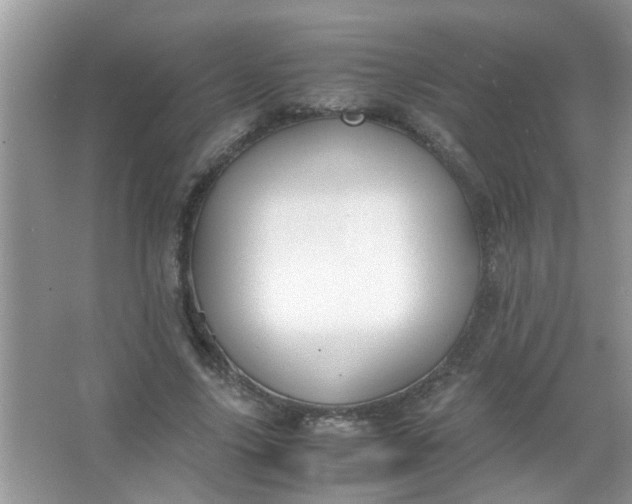 X0000067000635200604072150