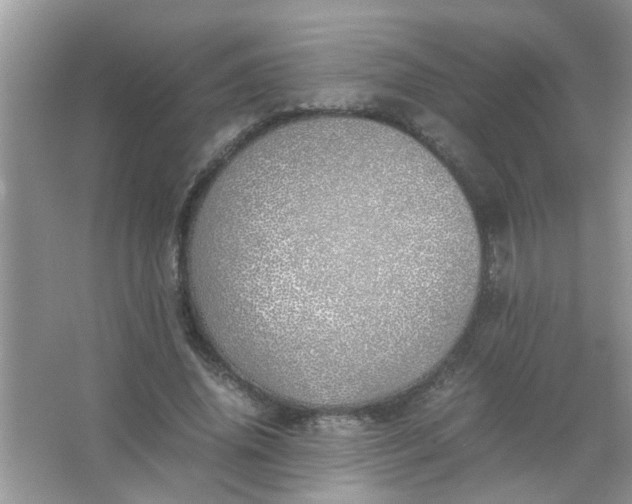 X0000067000636200604072150