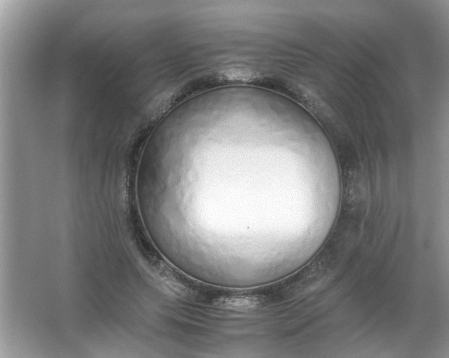 X0000067000639200604072150