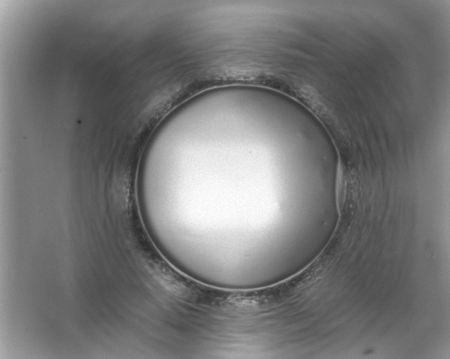 X0000067000640200604072150