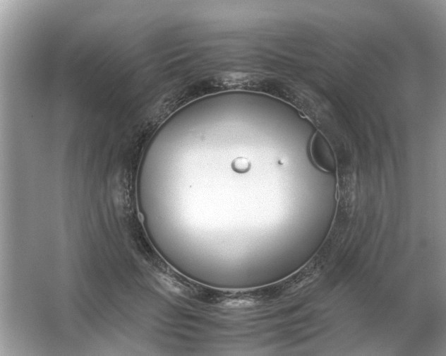 X0000067000653200604072150