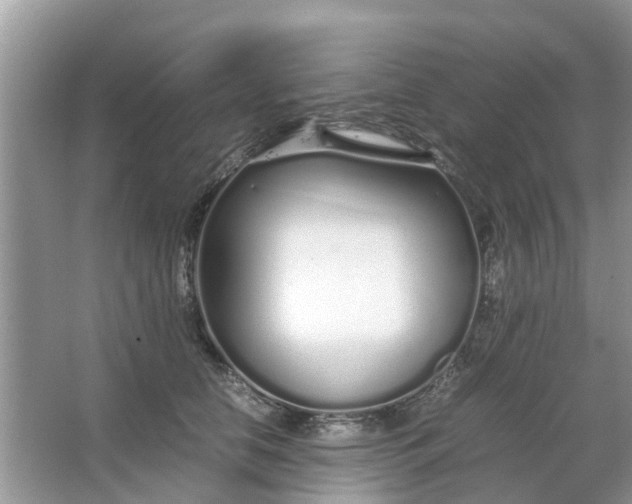 X0000067000658200604072150