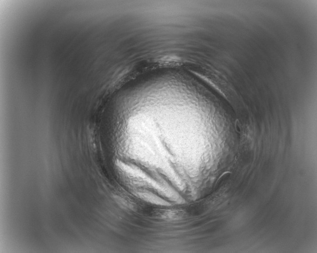 X0000067000663200604072150