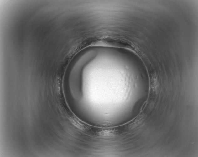 X0000067000664200604072150