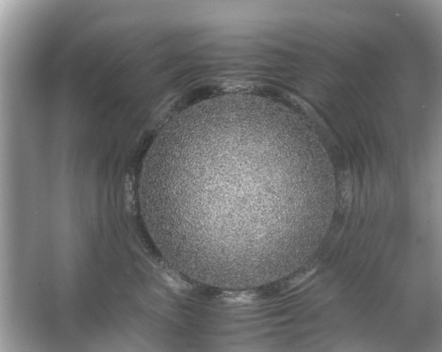 X0000067000667200604072150