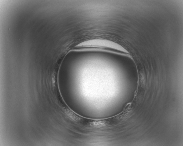 X0000067000668200604072150