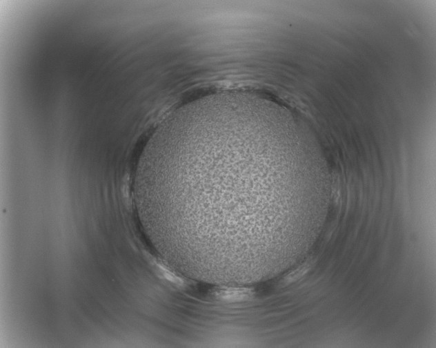 X0000067000670200604072150