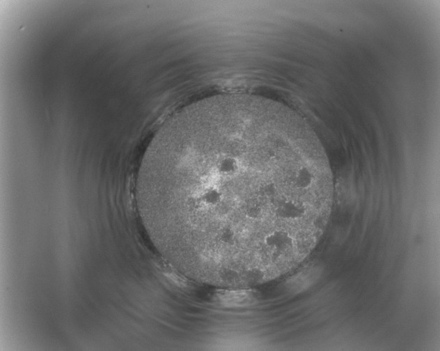 X0000067000671200604072150