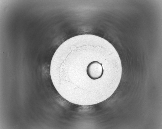 X0000067000672200604072150