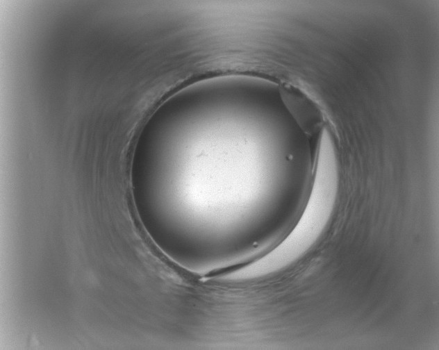 X0000067000673200604072150