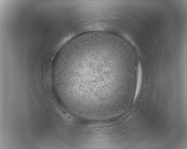 X0000067000675200604072150