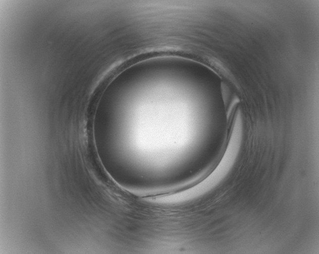 X0000067000676200604072150