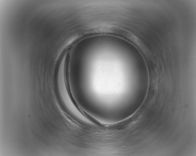 X0000067000677200604072150