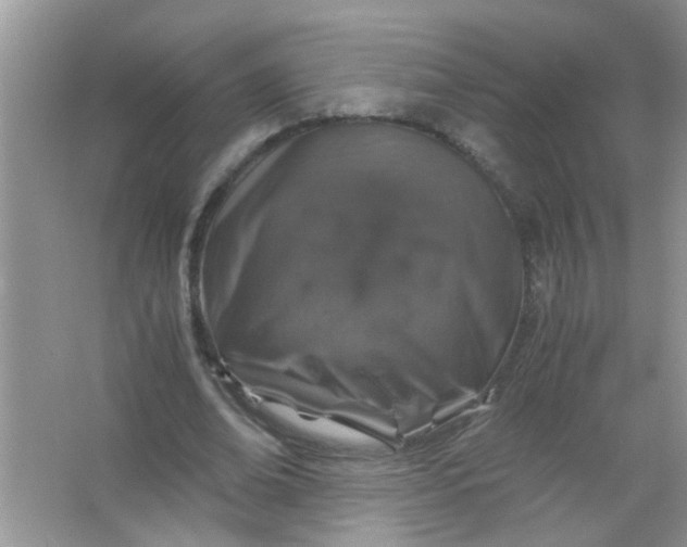 X0000067000678200604072149