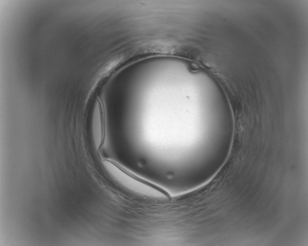 X0000067000679200604072149