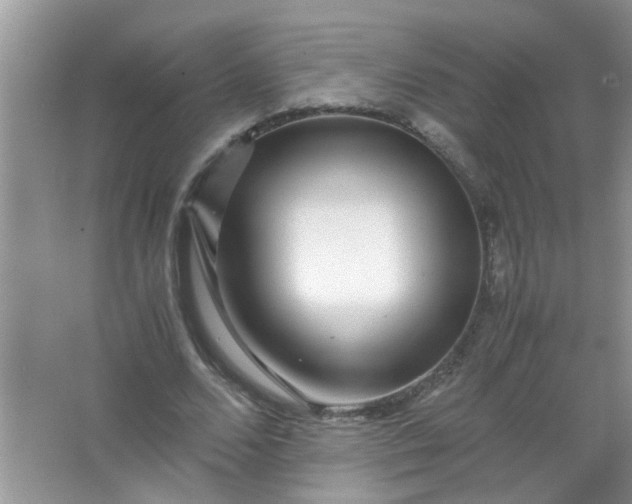 X0000067000680200604072149