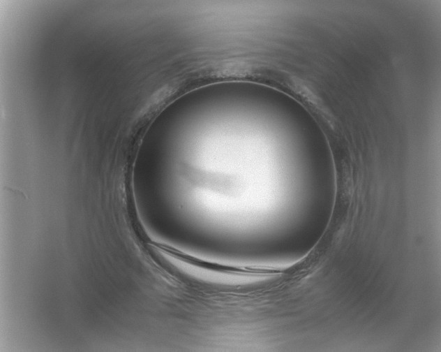 X0000067000681200604072149