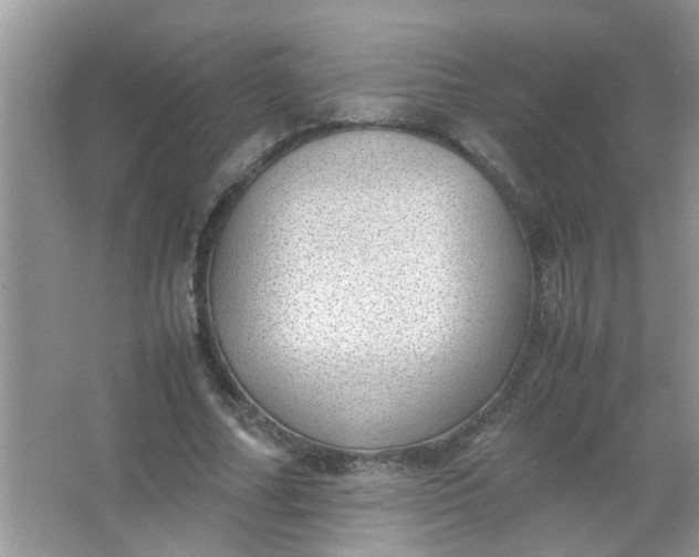 X0000067000682200604072149