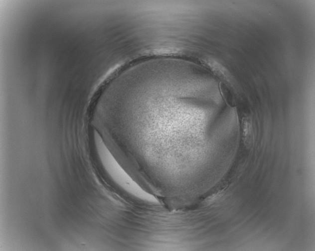 X0000067000684200604072149