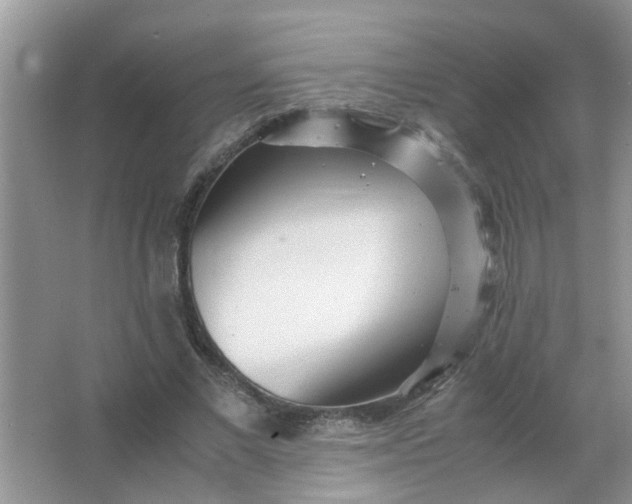 X0000067000685200604072149