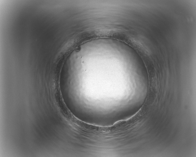 X0000067000687200604072149