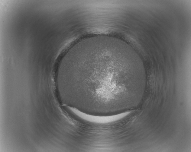 X0000067000688200604072149