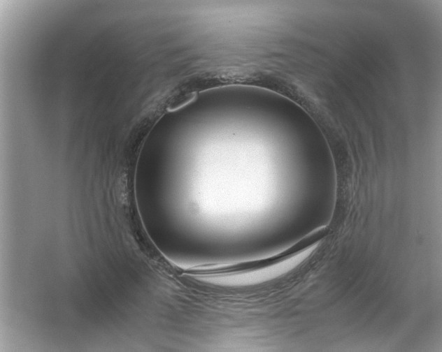 X0000067000689200604072149