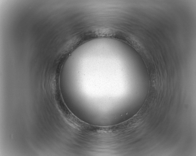 X0000067000690200604072149