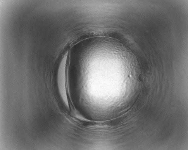 X0000067000691200604072149