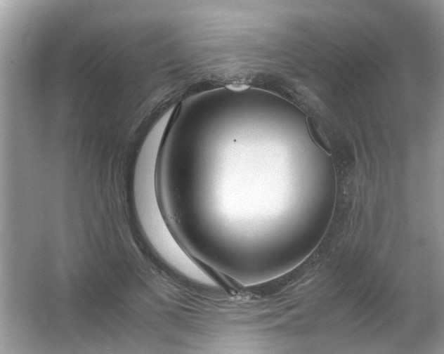 X0000067000693200604072149