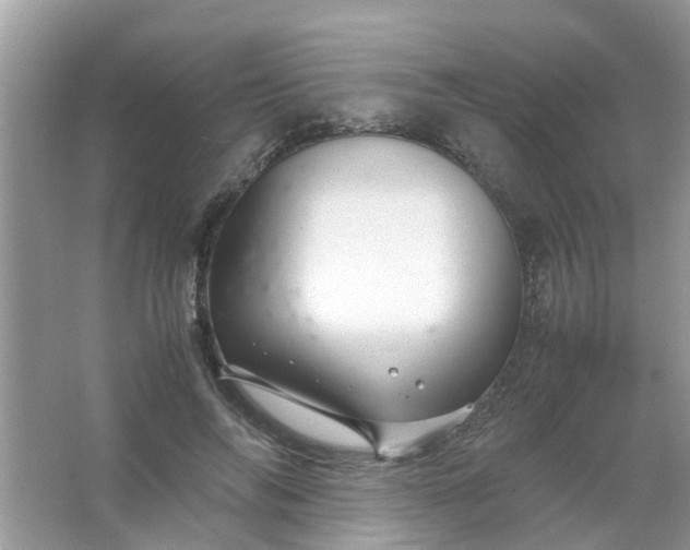 X0000067000694200604072149