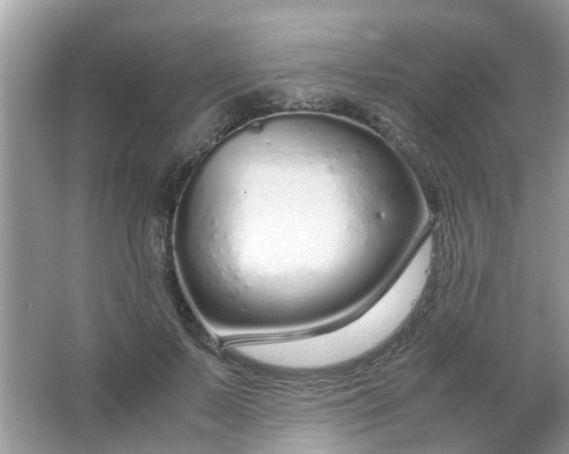 X0000067000695200604072149