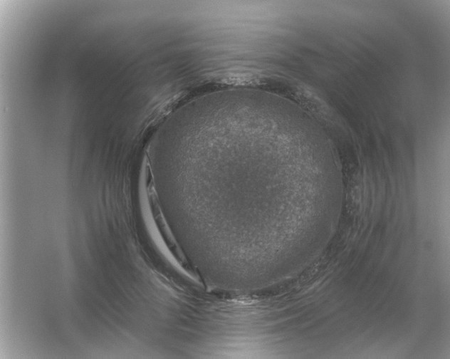 X0000067000696200604072149