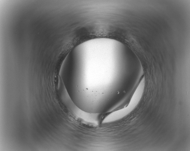 X0000067000697200604072149