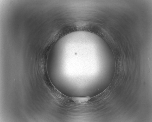 X0000067000698200604072149